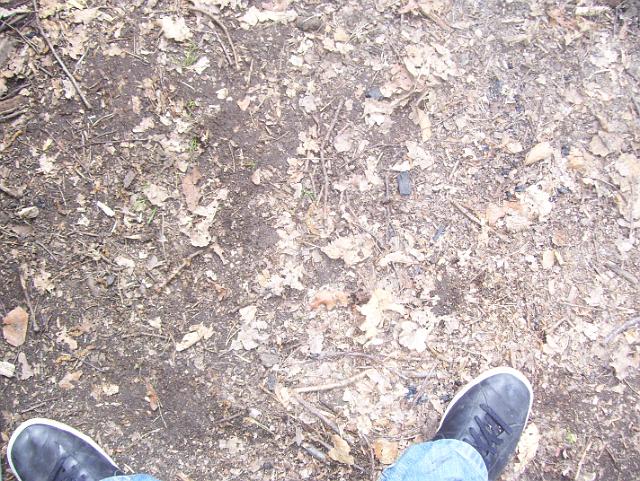 Steinkuhle 2008 (27).JPG